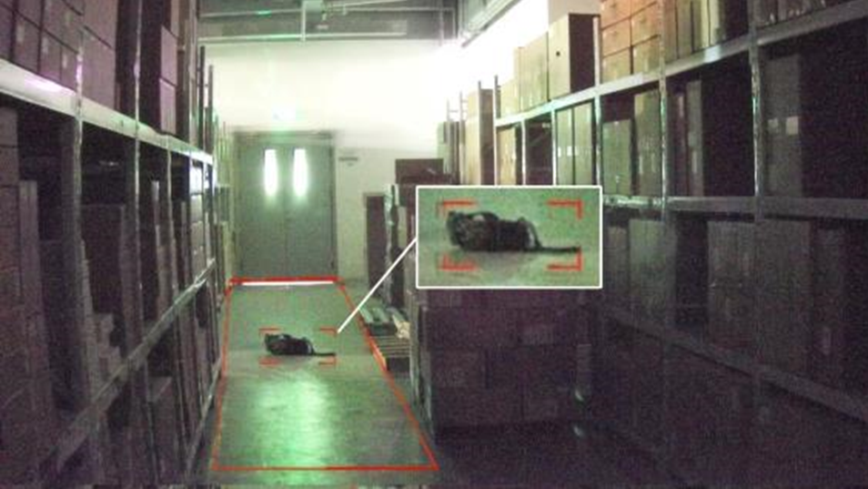 BG���μ���(�й�)Ψһ�ٷ���վ