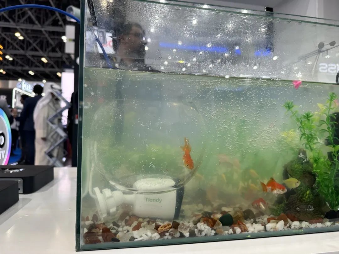 BG���μ���(�й�)Ψһ�ٷ���վ