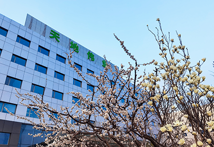 BG���μ���(�й�)Ψһ�ٷ���վ