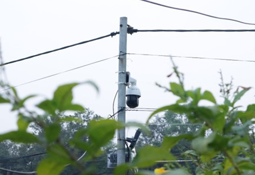 BG���μ���(�й�)Ψһ�ٷ���վ